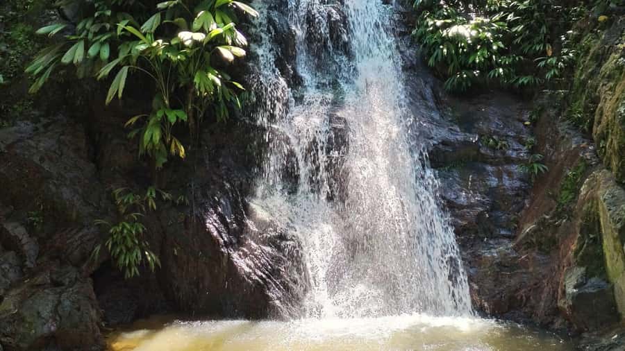 Minca: Hidden Waterfall + Coffee and Cocoa Workshop - Why Minca works so well for a one-day visit