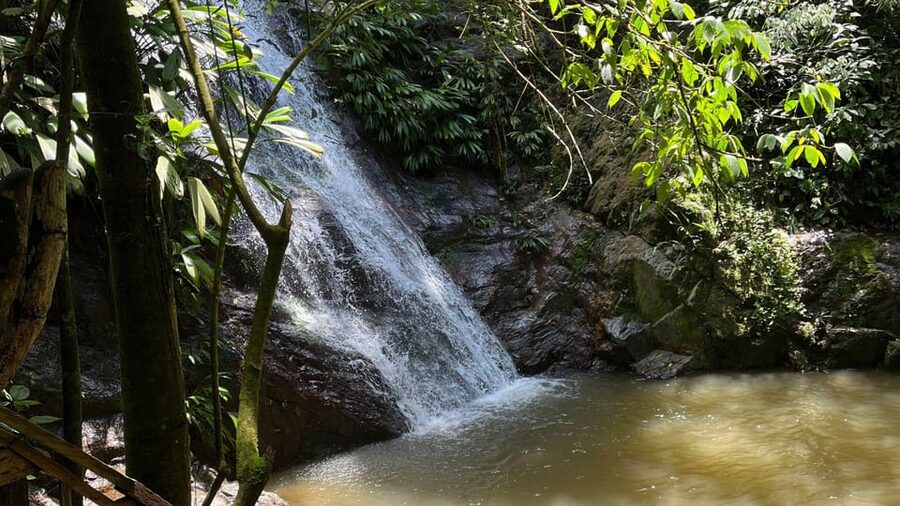 Minca: Hidden Waterfall + Coffee and Cocoa Workshop - Lunch before the longer humid-forest walk