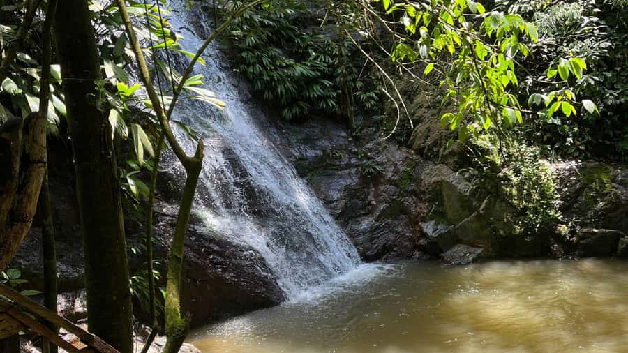 Minca: Hidden Waterfall + Coffee and Cocoa Workshop - Who should book this experience