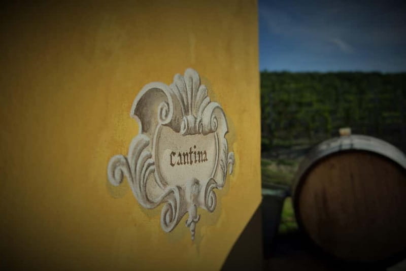 Monforte d'Alba: Wine and Chocolate Tasting Experience - Why this short Monforte dAlba visit works