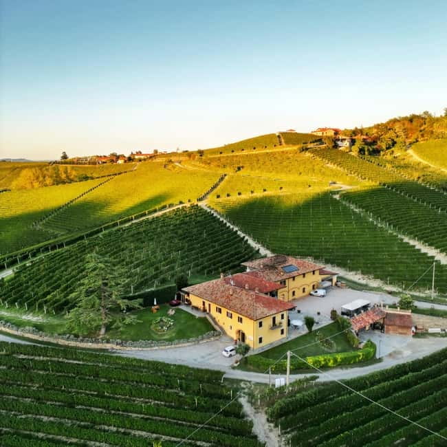 Monforte d'Alba: Wine and Chocolate Tasting Experience - The museum: old photographs and working memories