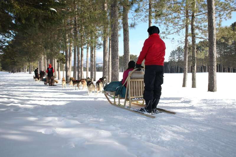 Mont-Tremblant: Guided Dogsledding Tour with Hot Chocolate - Key points to know before you book