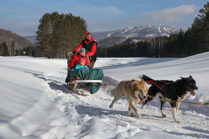 Mont-Tremblant: Guided Dogsledding Tour with Hot Chocolate - What the $213 price buys you
