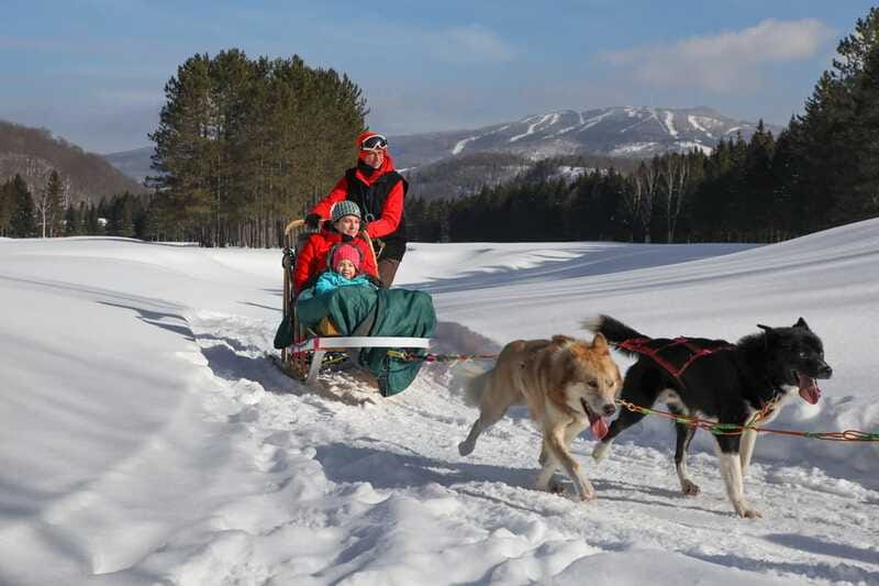 Mont-Tremblant: Guided Dogsledding Tour with Hot Chocolate - Who will enjoy this outing most