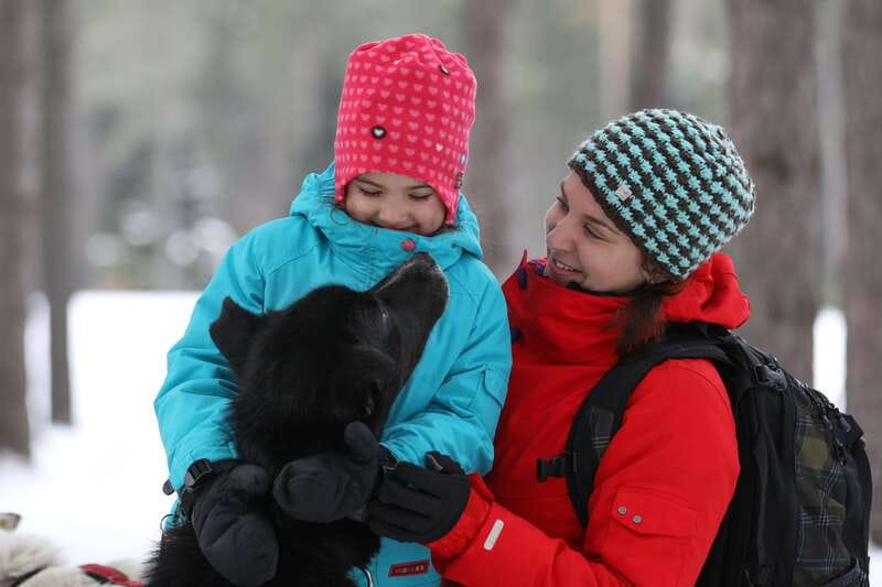 Mont-Tremblant: Guided Dogsledding Tour with Hot Chocolate - Getting ready at the kennel
