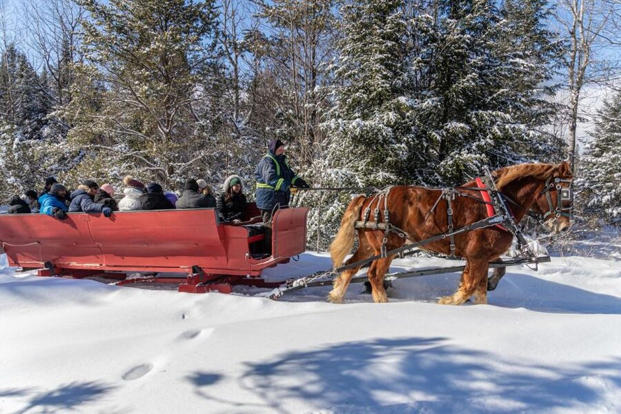 Mont-Tremblant: Sleigh Ride w/ Storytelling & Hot Chocolate - A gentle start beside the tennis courts