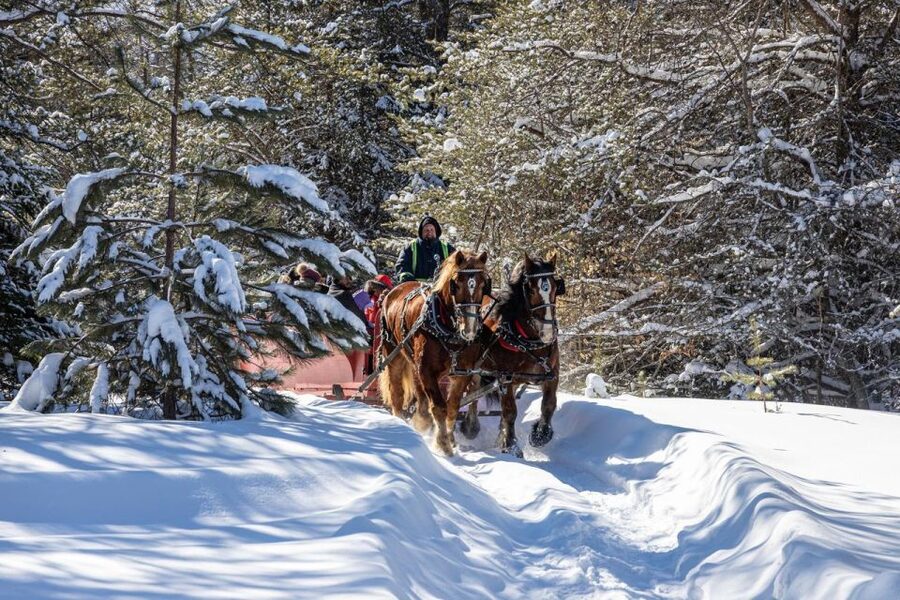 Mont-Tremblant: Sleigh Ride w/ Storytelling & Hot Chocolate - Tremblant legends, folk songs, and live music