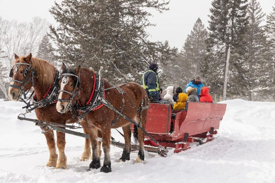 Mont-Tremblant: Sleigh Ride w/ Storytelling & Hot Chocolate - Hot chocolate beside a small fire