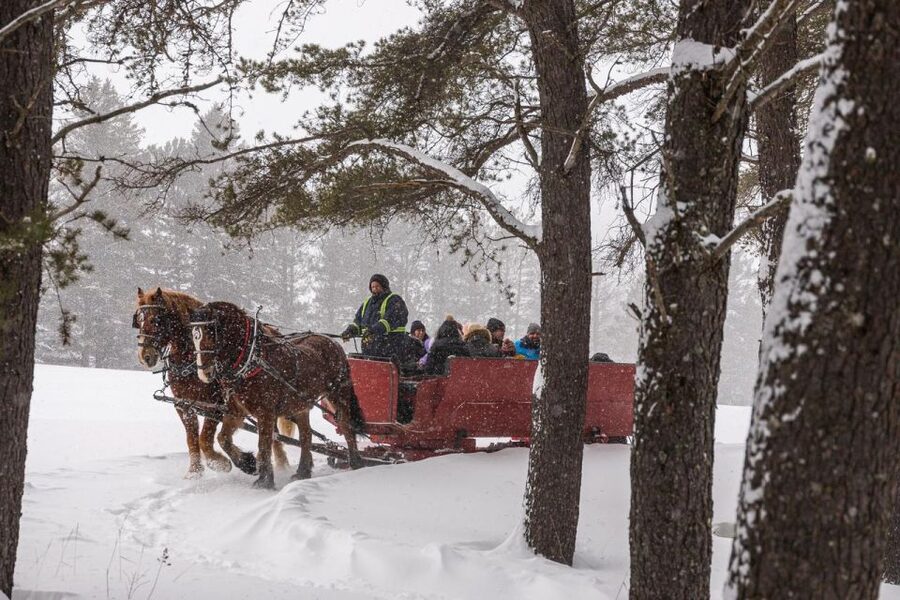 Mont-Tremblant: Sleigh Ride w/ Storytelling & Hot Chocolate - Why the $44 price can make sense