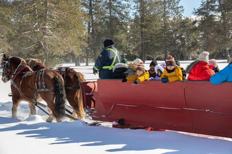 Mont-Tremblant: Sleigh Ride w/ Storytelling & Hot Chocolate - Booking advice and cancellation flexibility