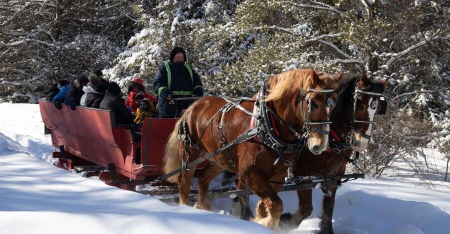 Mont-Tremblant: Sleigh Ride w/ Storytelling & Hot Chocolate - From open fields into the Laurentian forest