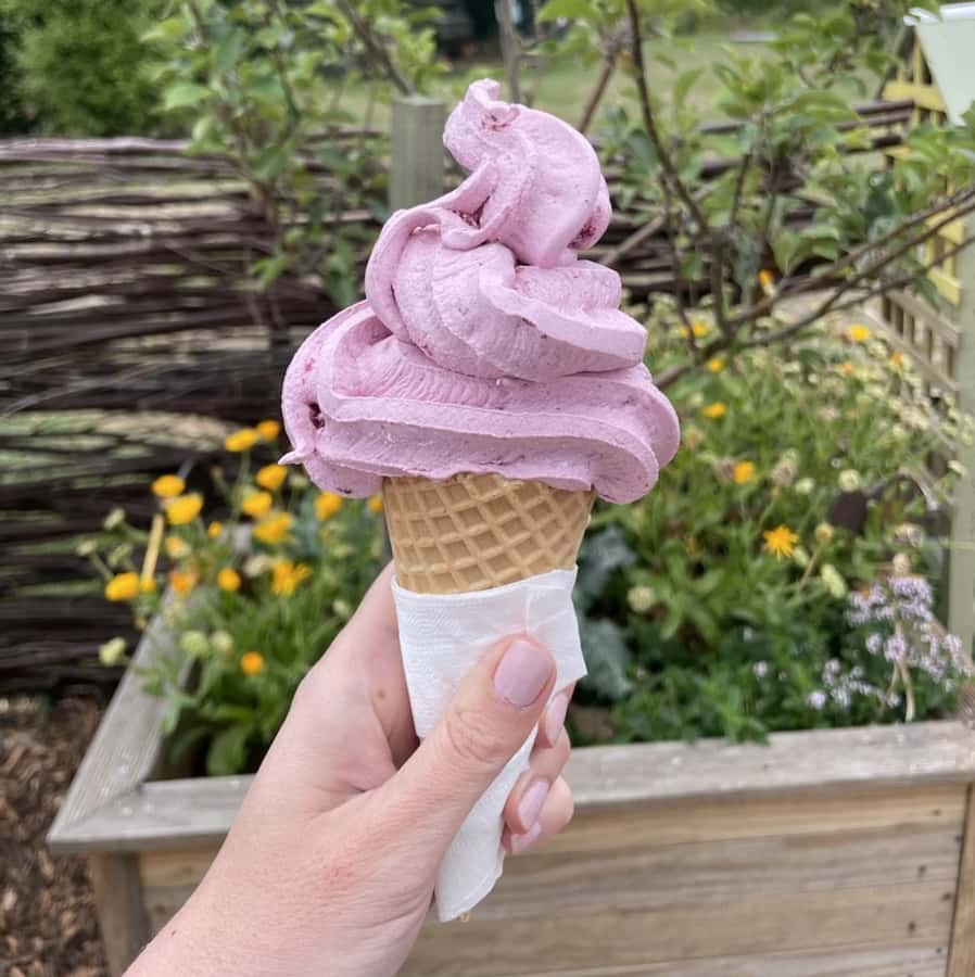 Napier: Taste Hawke's Bay - A sweet treat food tour - What the price includes, and what it does not