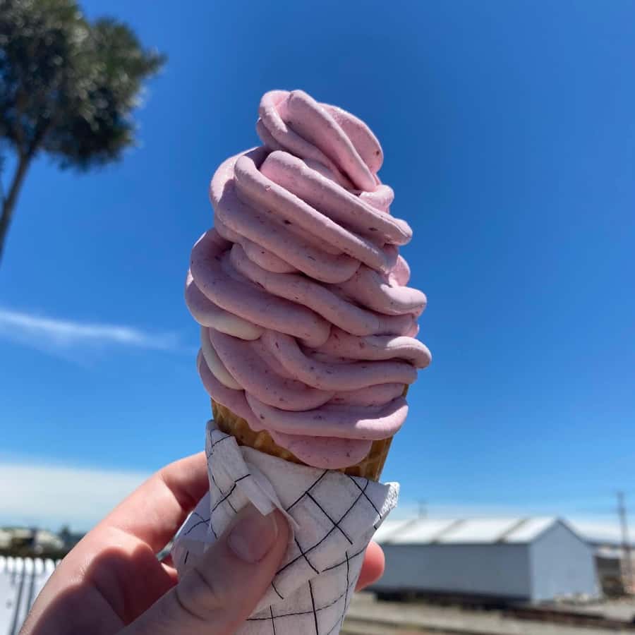 Napier: Taste Hawke's Bay - A sweet treat food tour - Who should book this outing?