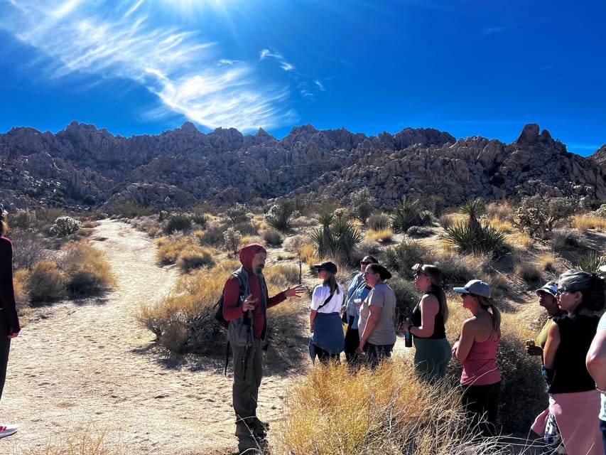 Nature Walk+Cacao Ceremony+Soundbath Meditation- Joshua Tree - Who should book this four-hour outing?