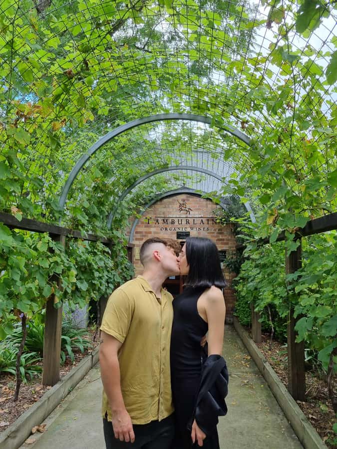 Newcastle: Hunter Valley Wine, Gin, Cheese & Chocolate Tour - The first winery sets the pace