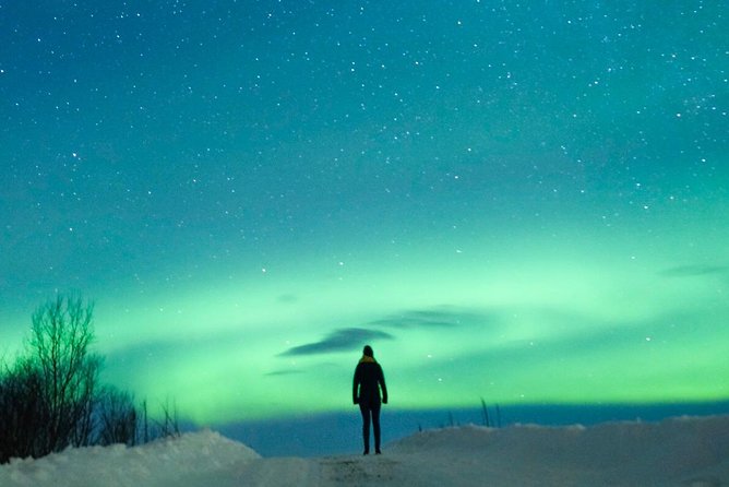 Northern Lights Bus Tour from Reykjavik with Hot Chocolate - The guides make a real difference