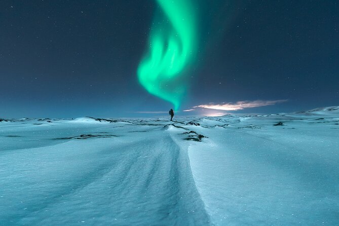 Northern Lights Small-Group Tour with Free Photos & Hot Chocolate - How much value do you get for $118.27?