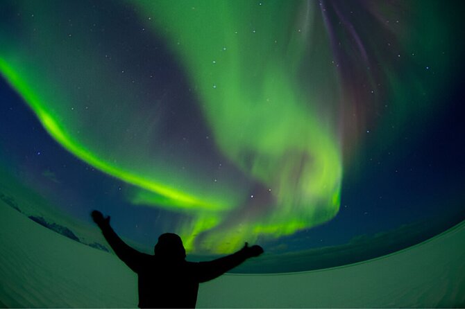 Northern Lights Tour: Cozy Night Adventure with Hot Chocolate - Is $81.80 a fair price?