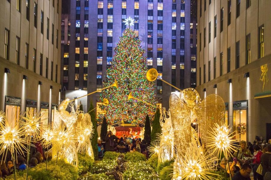 NYC: Midtown Holiday Donut and Hot Chocolate Adventure - Patience and Fortitude at the New York Public Library