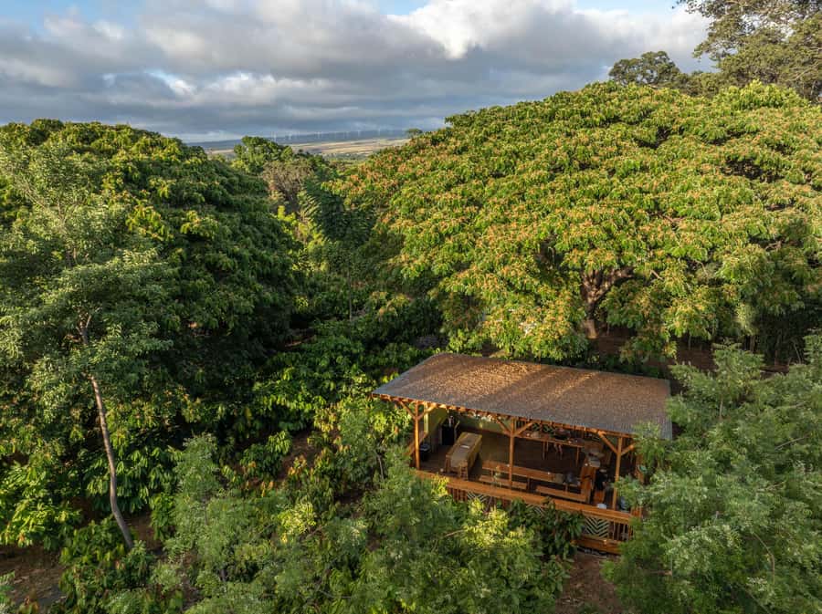Oahu: Chocolate Farm Tour with Tasting - Kamananui Cacao - Key points at a glance