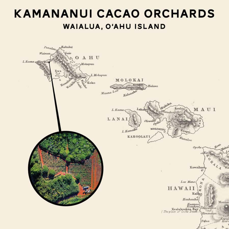 Oahu: Chocolate Farm Tour with Tasting - Kamananui Cacao - Why this North Shore farm visit is different