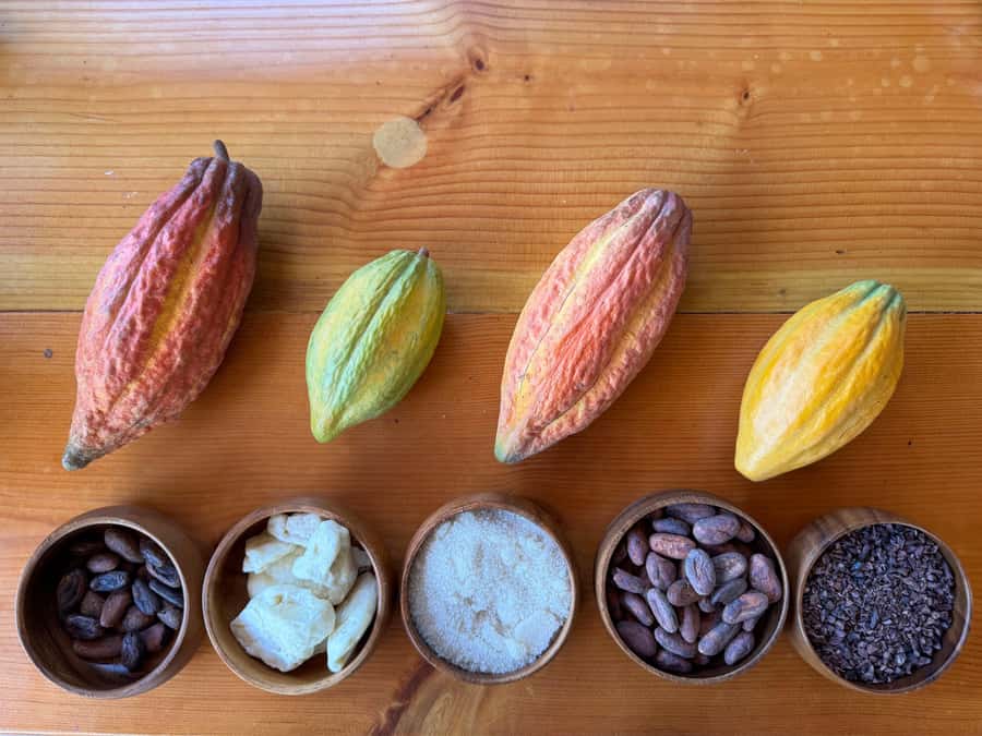 Oahu: Chocolate Farm Tour with Tasting - Kamananui Cacao - What to bring and what the walk feels like