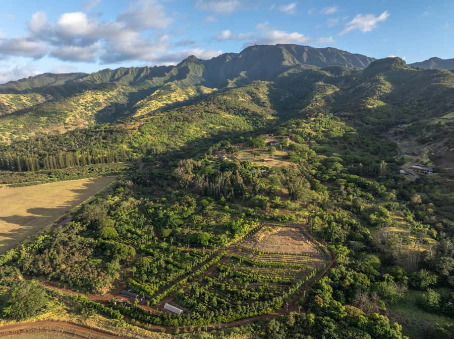 Oahu: Chocolate Farm Tour with Tasting - Kamananui Cacao - Finding Kamananui Cacao Orchards near Haleiwa