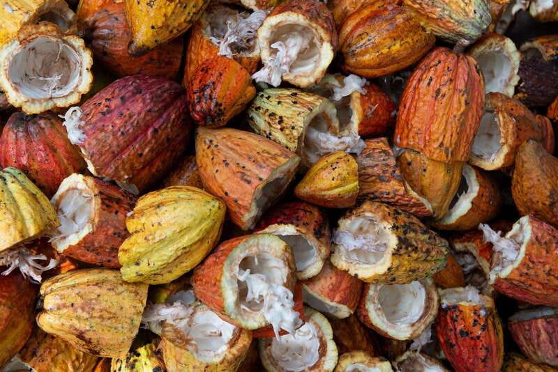 Oaxaca: Chocolate and Ancestral Drinks Tour - Making your own chocolate drink