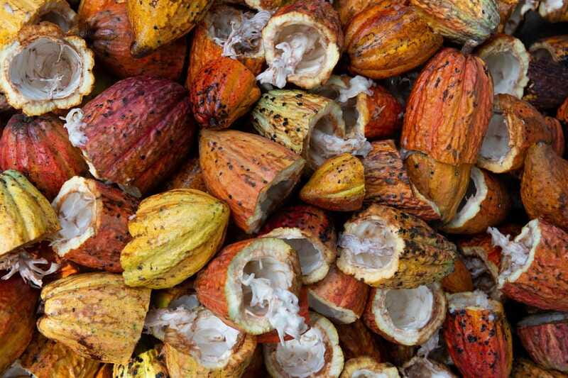 Oaxaca: Chocolate and Ancestral Drinks Tour - Is one hour enough?