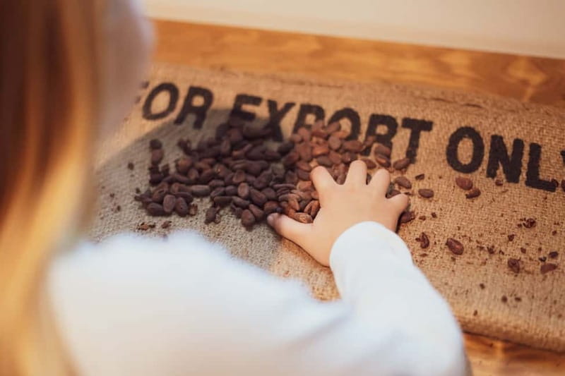 Porto: Chocolate Museum - Unwrap the Secrets of Chocolate - Porto’s chocolate story begins long before the candy bar