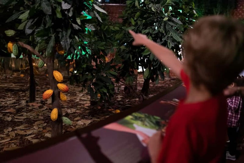 Porto: Chocolate Museum - Unwrap the Secrets of Chocolate - A family visit that works best with older children