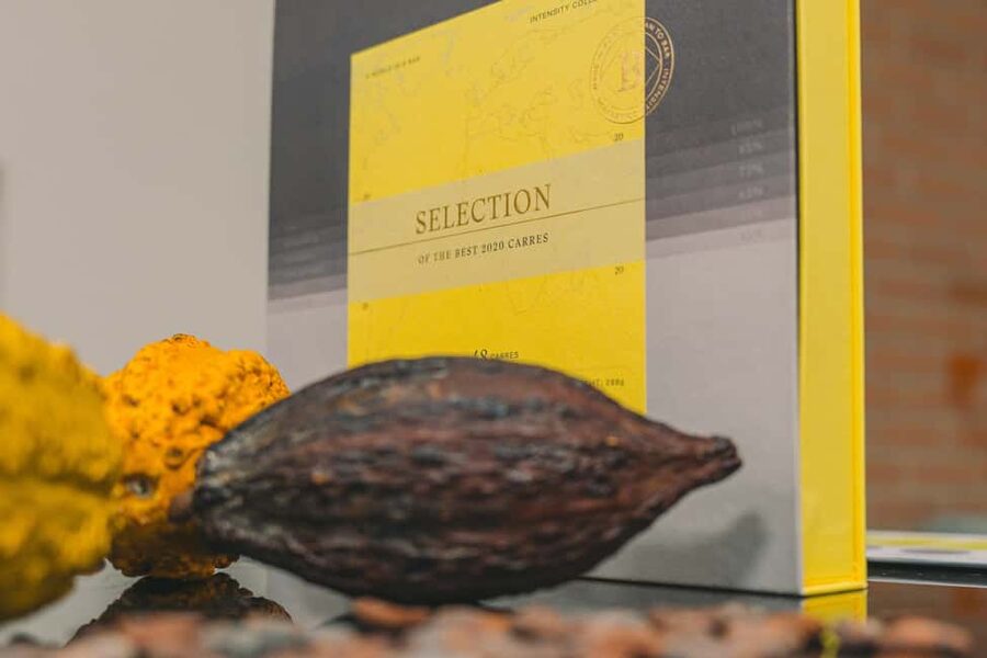 Porto: Chocolate & Port Wine Pairing Workshop - Learning the pairing method