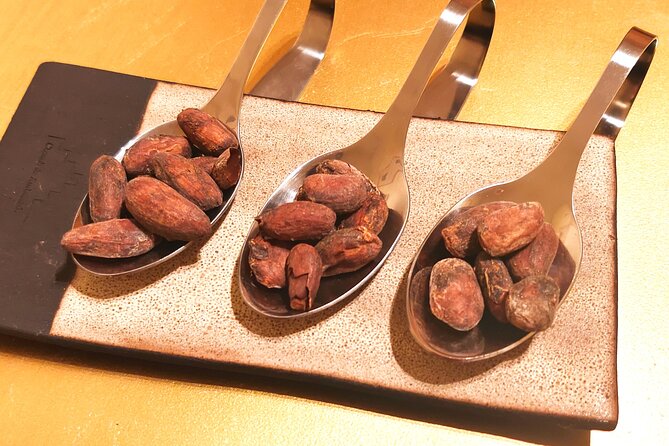 Private Chocolate Experience in Ghent - Following cacao from fruit to finished chocolate