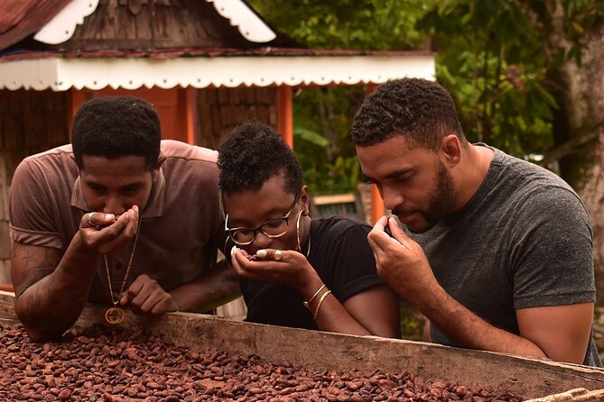 Private Chocolate Making Class - At a Glance: What Makes This Class Worth Considering