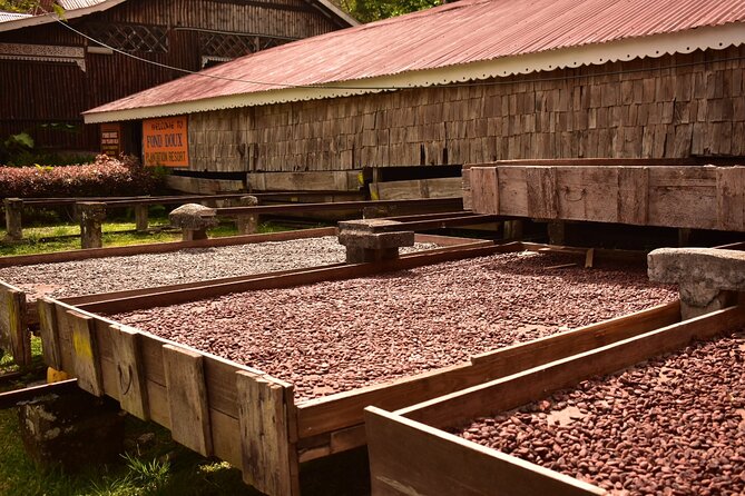 Private Chocolate Making Class - How the Two-Hour Schedule Feels