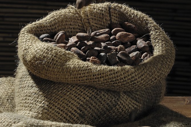 Private Dark Chocolate Tasting Tour in Paris - What this Paris chocolate tasting actually offers