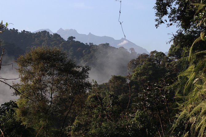 Private Full-Day Mindo Cloud Forest,Butterfly Farm, Chocolate Tour bird watching - San Tadeo Birding and the close-up hummingbird encounter