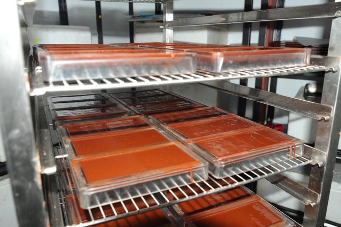 Private Tour to Aelan Chocolate Factory in Port Vila - What happens at the ACTIV Centre