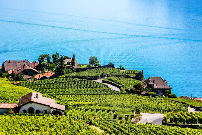 Private Tour to Gruyères, Chocolate & Cheese Factory from Geneva - Who will enjoy this experience most?