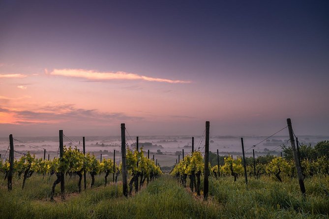 Private Wine and Chocolate Tour in Niagara Wine Region - Key points at a glance