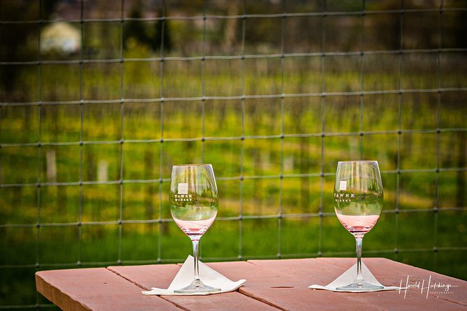 Private Wine and Chocolate Tour in Niagara Wine Region - Lake and Escarpment wineries