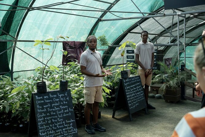 Project Chocolat Tree to Bar Tour at Hotel Chocolat Saint Lucia - Cacao drinks and the Hotel Chocolat food stop