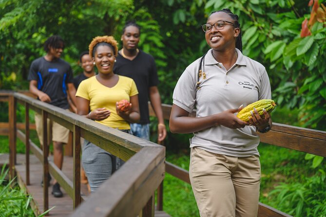 Project Chocolat Tree to Bar Tour at Hotel Chocolat Saint Lucia - The scenery and the sense of place