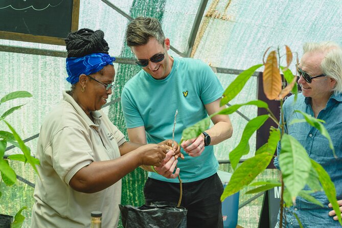 Project Chocolat Tree to Bar Tour at Hotel Chocolat Saint Lucia - Who will enjoy this experience most