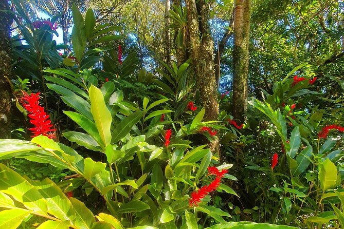 Puerto Plata City Tour with the Mount Isabel, Rum & Chocolate - Mount Isabel: great views, but no cable-car ride