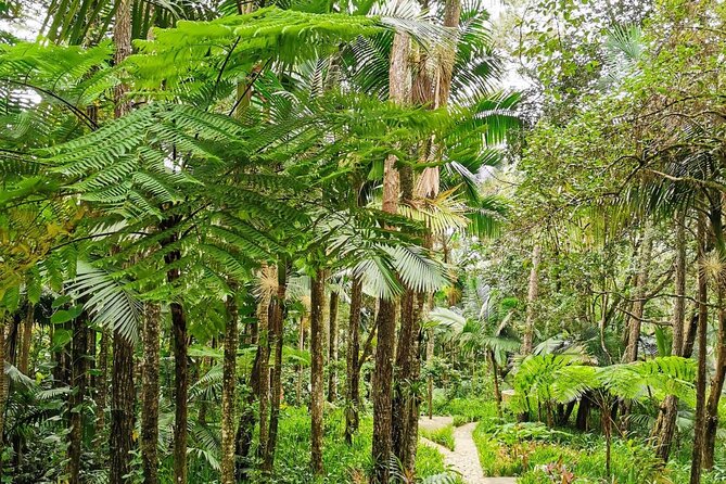 Puerto Plata City Tour with the Mount Isabel, Rum & Chocolate - Old Puerto Plata on foot