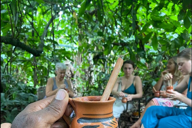 Puerto Viejo hands on chocolate making class. From bean to bar, get chocolatey! - Starting with a cacao tree near Puerto Viejo