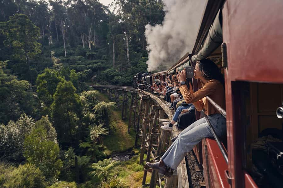 Puffing Billy, Healesville Sanctuary & Chocolatier - Key points to know before booking