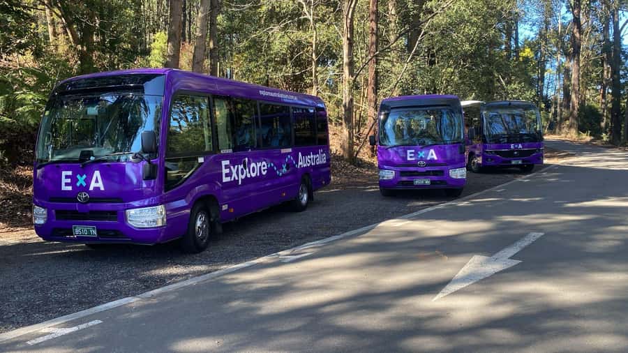 Puffing Billy, Healesville Sanctuary & Chocolatier - Value, flexibility, and who should book