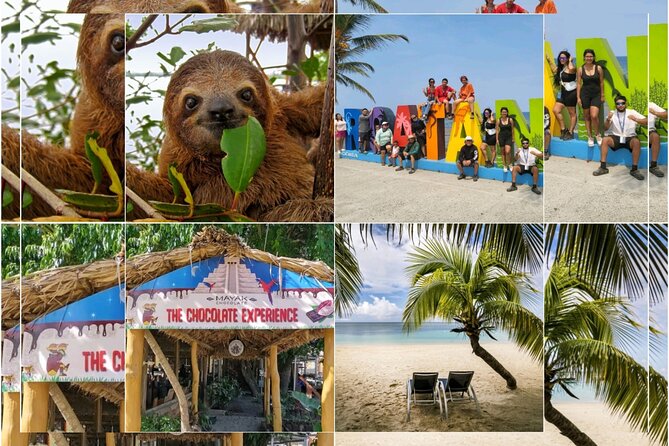 Roatan Sloths & Monkeys, Chocolate Factory plus Beach Break - Why this Roatán tour works well for cruise visitors